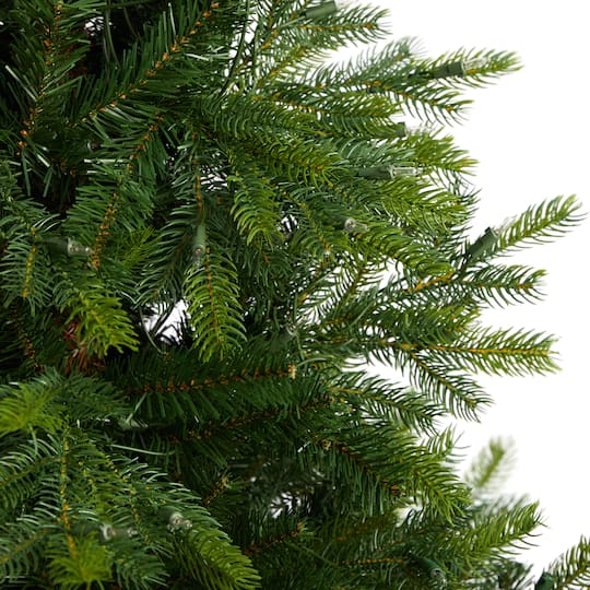 5ft. Pre-Lit North Carolina Spruce Artificial Christmas Tree, Clear LED Lights